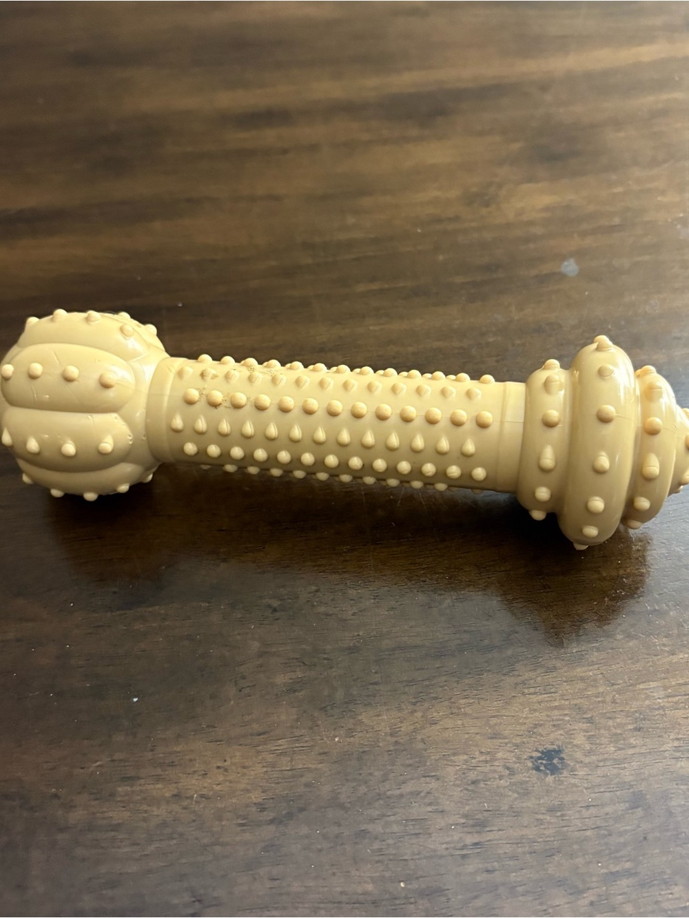 Nylabone 8” Textured Dog Chew bone- Tan